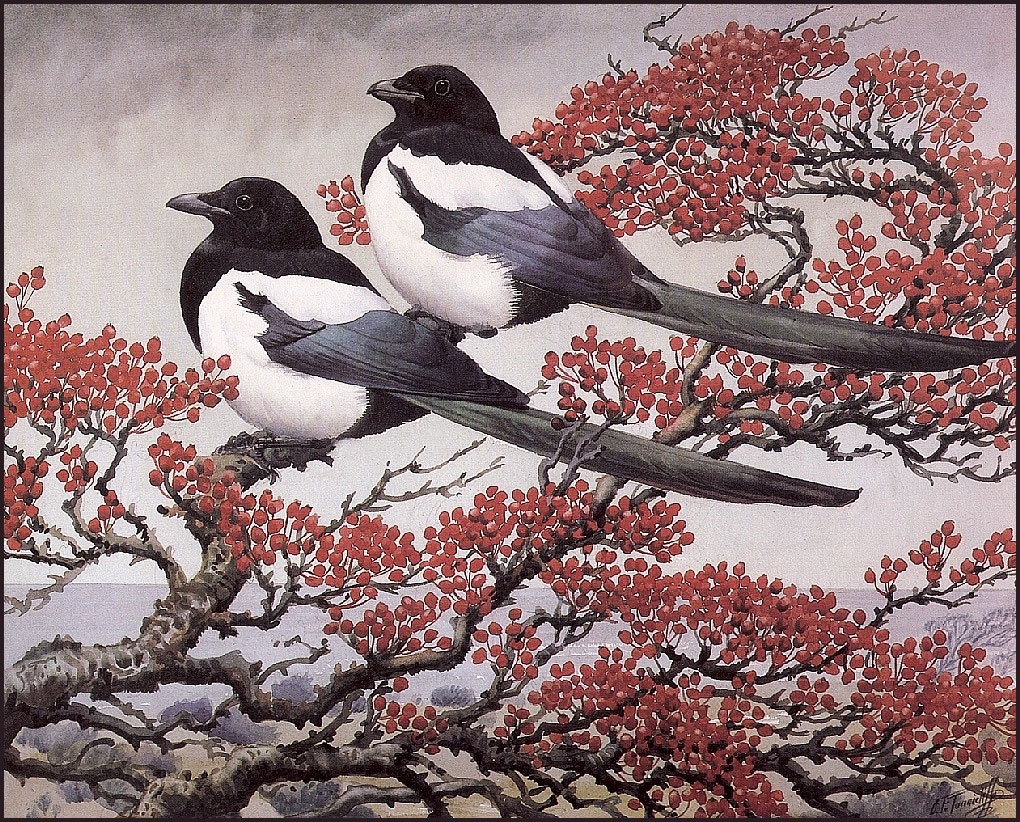 http://uploads1.wikiart.org/images/charles-tunnicliffe/in-the-thorn-tree(1).jpg