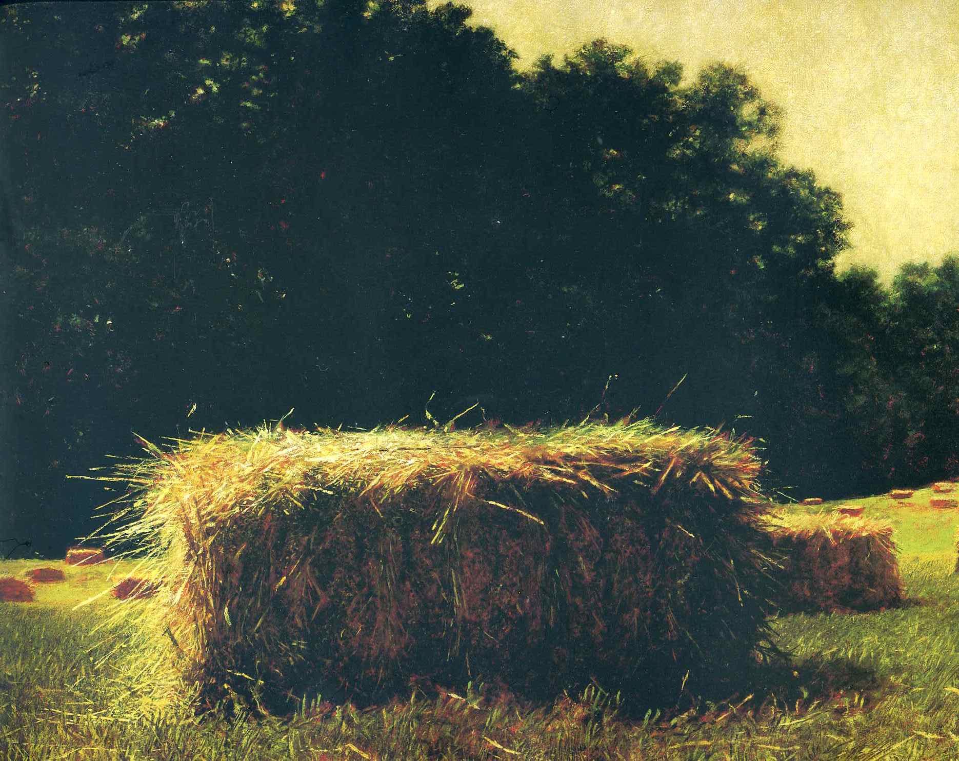 Bale Jamie Wyeth