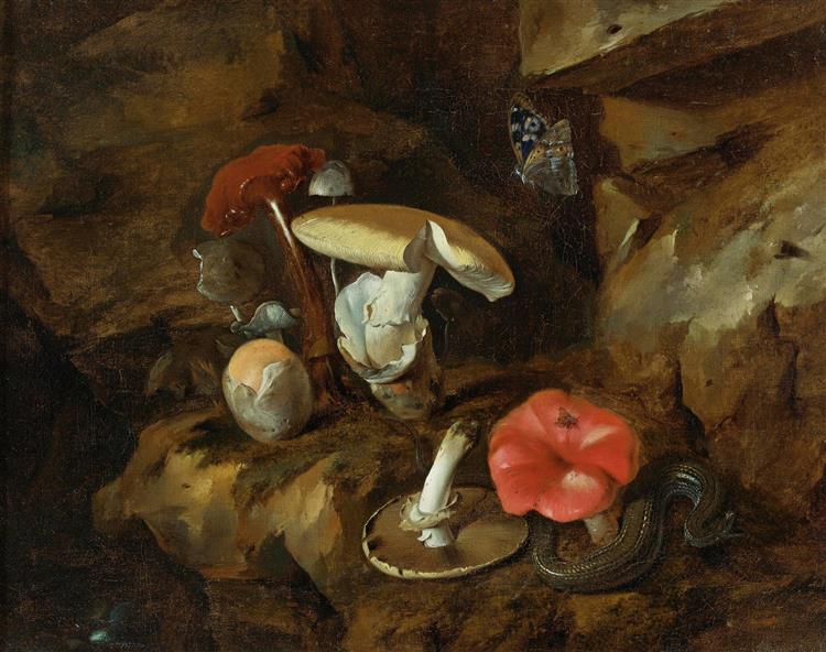 A Forest Floor Still Life with Mushrooms, a Snake and a Butterfly, 1657 - Otto Marseus van Schrieck