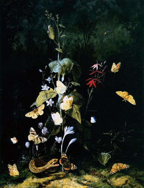 Plants, Frogs, Butterflies and a Snake on a Forest Ground, 1670 - Otto Marseus van Schrieck