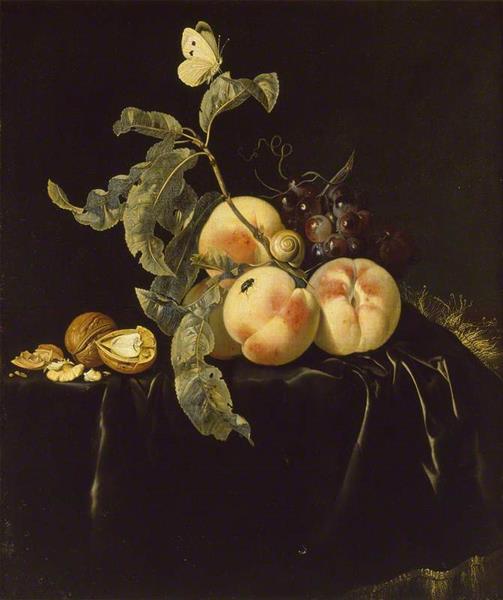 Still Life of Fruit, 1667 - Виллем Ван Алст