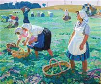 Cucumber Harvesting - Татьяна Ниловна Яблонская