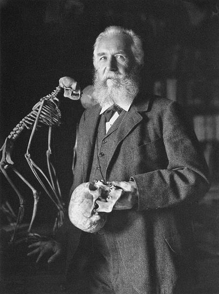 Ernst Haeckel, German Biologist and Naturalist, 1906 - Nicola Perscheid