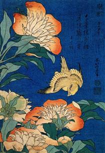 Canário e Peônia - Katsushika Hokusai