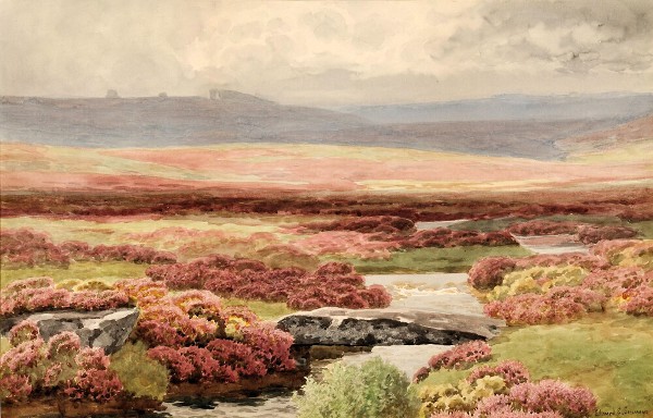 Heather In Bloom - Edward Simmons