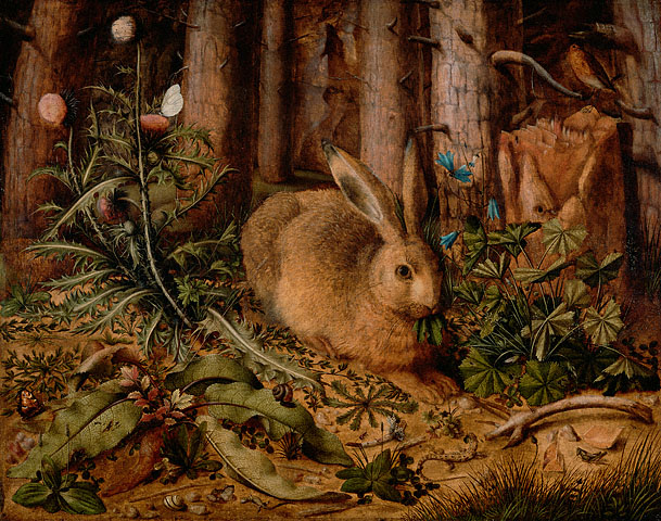 A Hare in the Forest (after Durer), c.1585 - Ганс Гофман