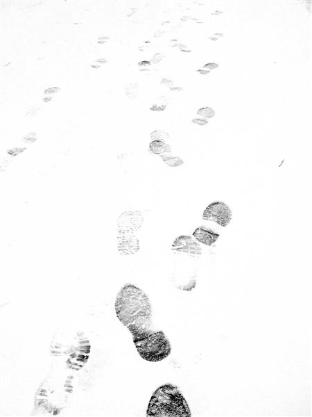 Footprints in the snow, 2016 - Alfred Krupa