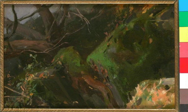 Lesní Zákoutí - Maxmilián Pirner