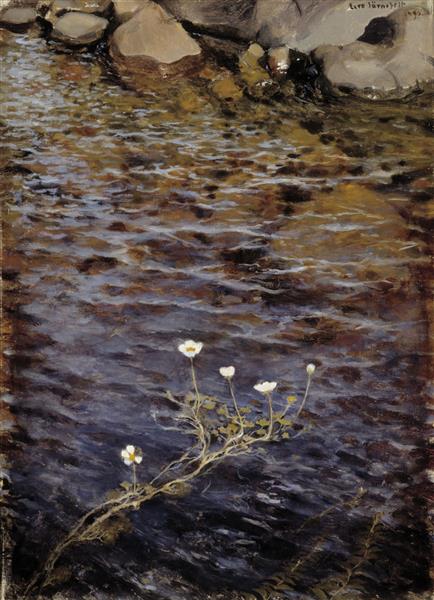 Pond Water Crowfoot - Ээро Ярнефельт