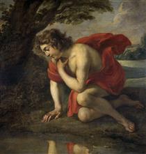 Narcissus - Jan Cossiers