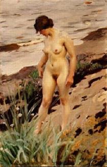 Nude by the Shore - Андерс Цорн