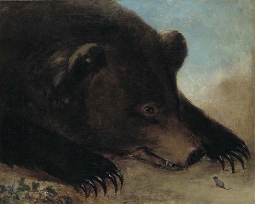 Grizzly Bear and Mouse - George Catlin