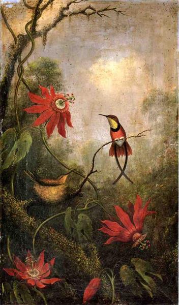 Passion Flowers And Hummingbirds - Martin Johnson Heade