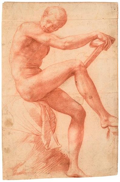 Seated Nude Man in Profile - Francesco de' Rossi (Francesco Salviati), "Cecchino"