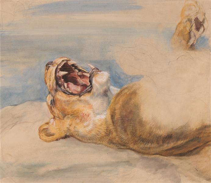 Study of a Lioness, c.1824 - Джон Фредерик Льюис