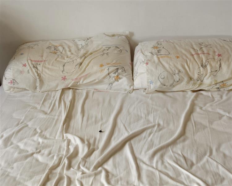 Bed Event, 2016 - Elina Brotherus