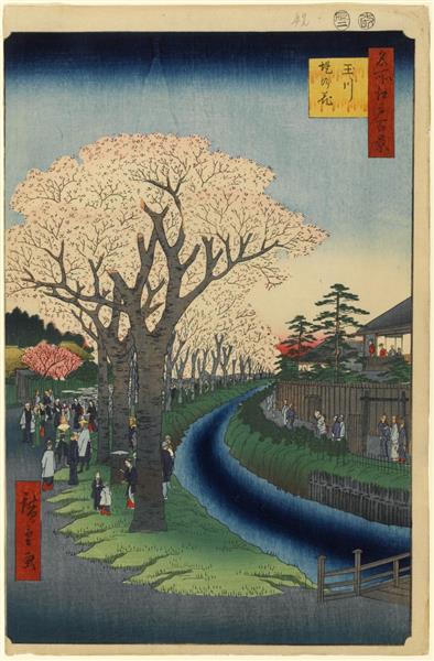 42. Cherry Blossoms on the Banks of the Tama River, 1857 - 歌川廣重