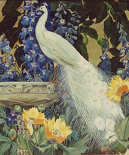 White Peacock and Poppies - Jessie Arms Botke