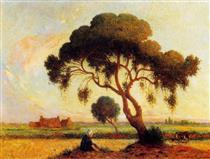 Breton Woman Seated Under a Large Tree - Ferdinand du Puigaudeau