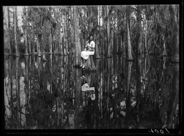 Cypress Gardens South Carolina, 1937 - Martin Munkácsi