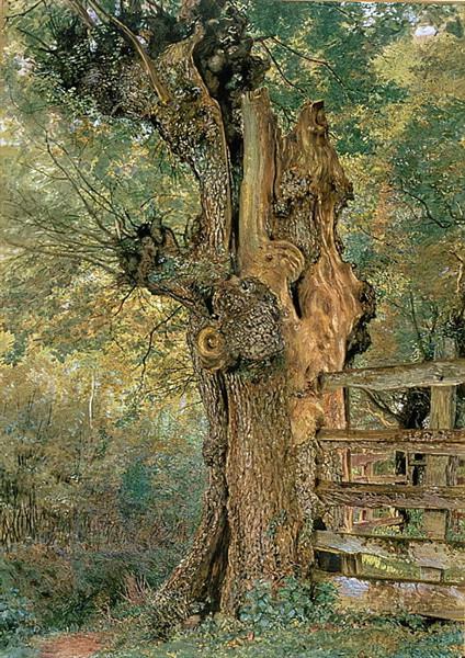 Pollard elm on the edge of the village pound - William Henry Hunt