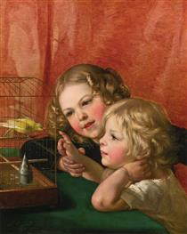 Playing with the bird cage - Alexander Clarot