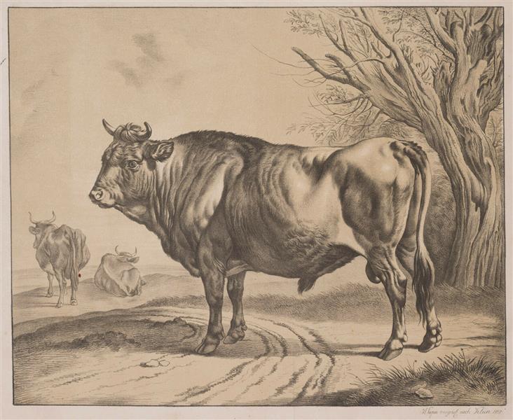 Breeding bull (after Joh.Adam Klein), 1818 - Heinrich Papin
