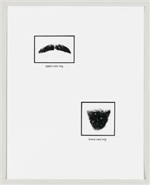 Untitled (Upper Case and Lower Case Wigs) - Lorna Simpson