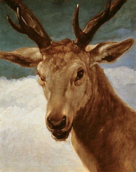 Head of a Stag, 1634 - 委拉斯奎茲