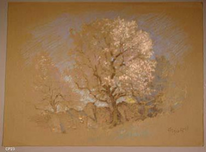White blossom tree (untitled), 1939 - James Taylor Harwood