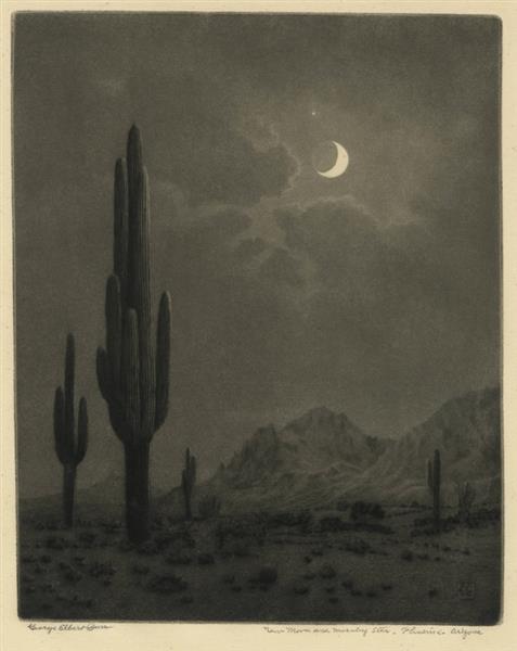 Reproduções De Belas Artes Sem título (tradução para Springtime, Paradise  Valley Arizona), 1920 por George Elbert Burr (1859-1939)