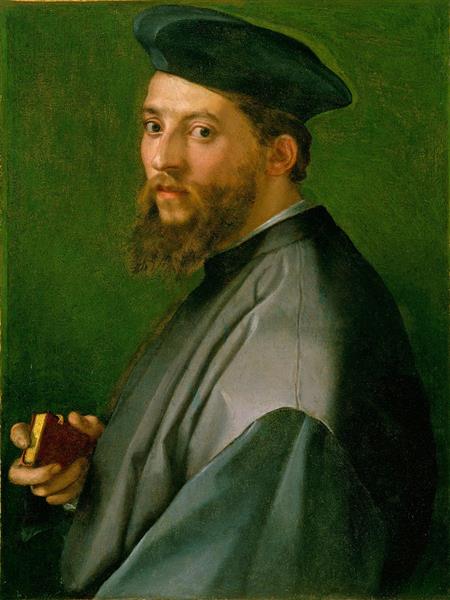 Portrait of a Man - Andrea del Sarto