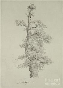 Ancient Oak Tree with a Storks Nest - Caspar David Friedrich