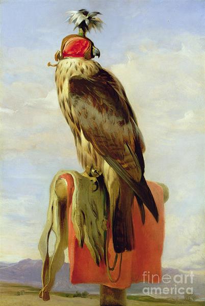 Hooded Falcon - Edwin Henry Landseer