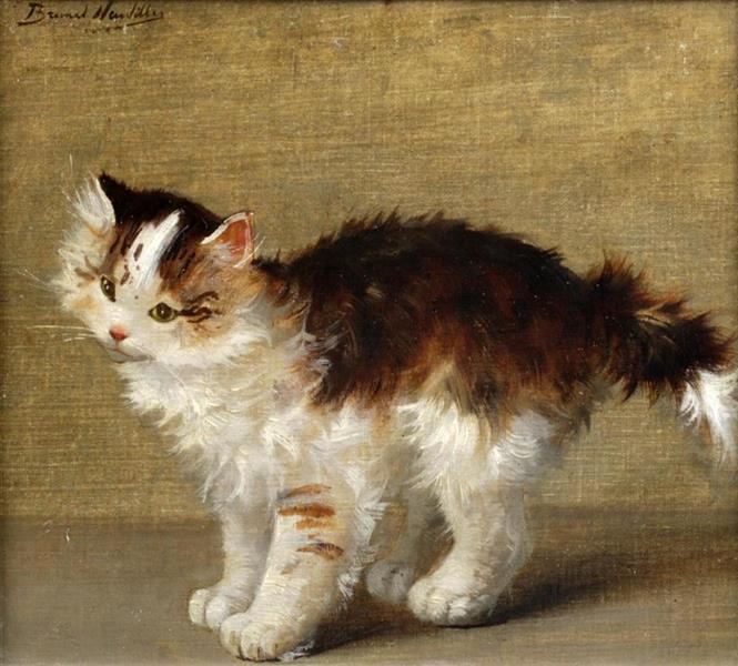 Kitten - Brunel Neuville