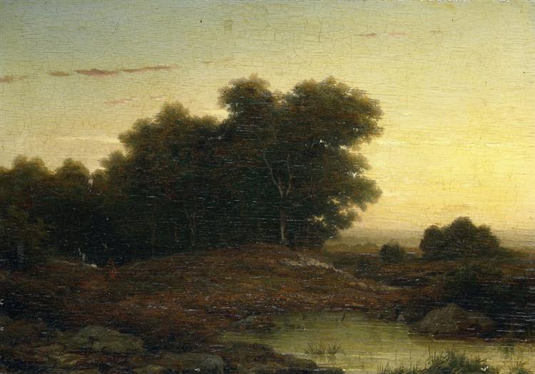 View in the Woods at Sunset - Louwrens Hanedoes