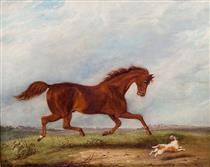 Chestnut Horse Running with a Jack Russell Terrier in an Extensive Landscape - Martin Theodore Ward