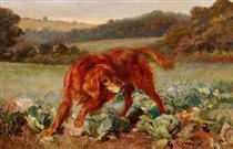 Dog in cabbage field - William Henry Hamilton Trood