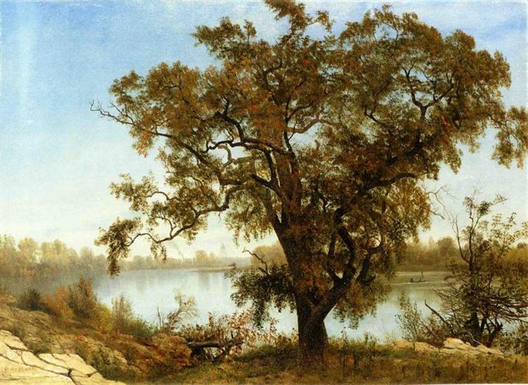 A View from Sacramento, c.1875 - Альберт Бирштадт