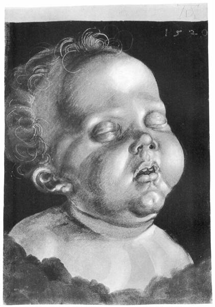 Голова ребенка, 1520 - Альбрехт Дюрер