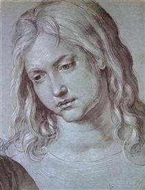 Head of the twelve year old Christ - Альбрехт Дюрер