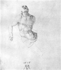 Study of a body of Christ - Albrecht Dürer