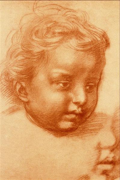 Head Of Child - Andrea del Sarto