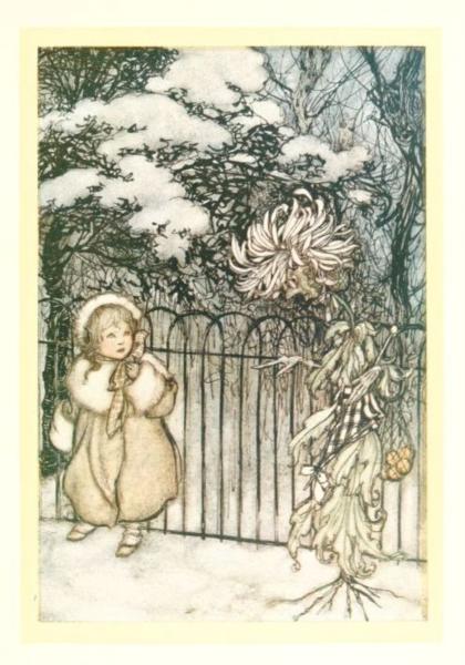 A chrysanthemum heard her, and said pointedly, 'Hoity-toity, what is this' - Arthur Rackham