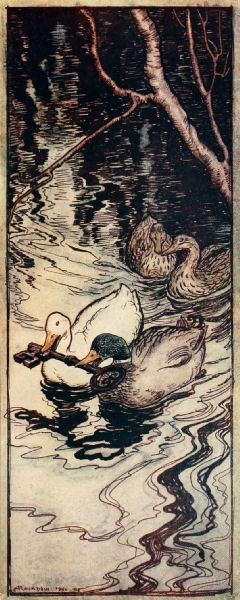 The Ducks, which he had once saved, dived and brought up the key from the depths - Arthur Rackham