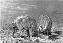 Two Pigs Eating from a Trough - Charles Emile Jacque