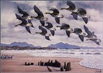 Coming In To Land - Charles Tunnicliffe