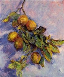 Branch of Lemons - Claude Monet