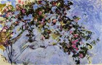 The Rose Bush - Claude Monet