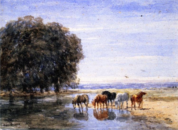 Horses Drinking, 1855 - Девід Кокс